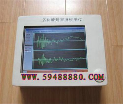 多功能超声波检测仪 型号：WFZX-10S