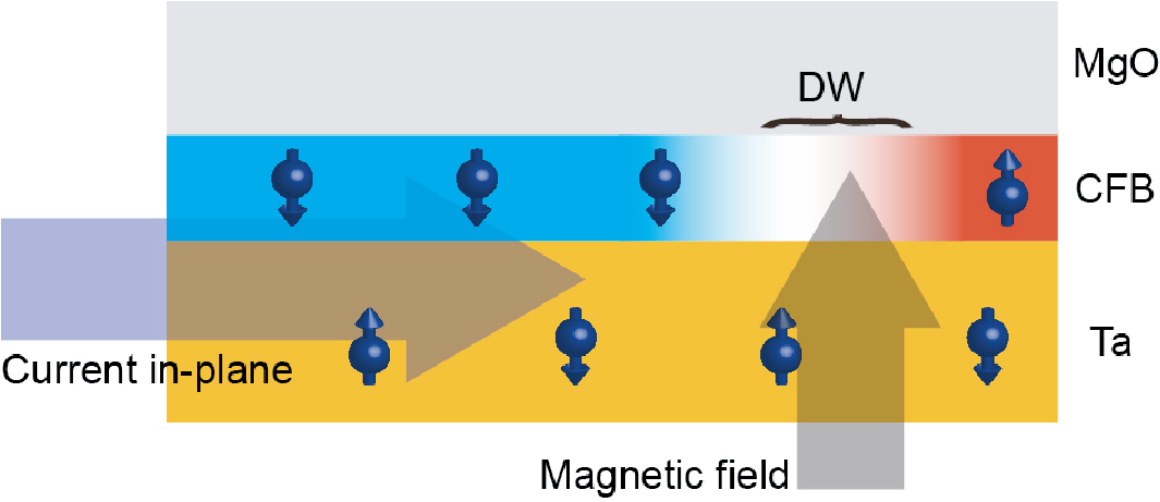 多功能高分辨率磁光克尔显微成像系统