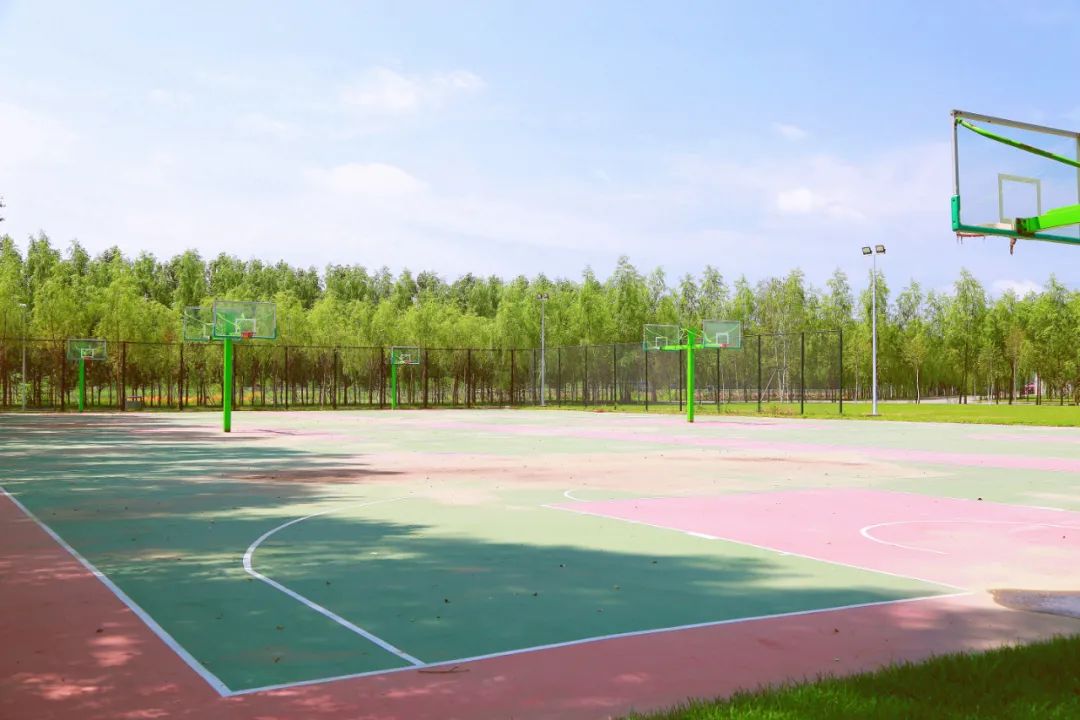 黑龙江工商学院：多功能体育场馆，让你变更好！